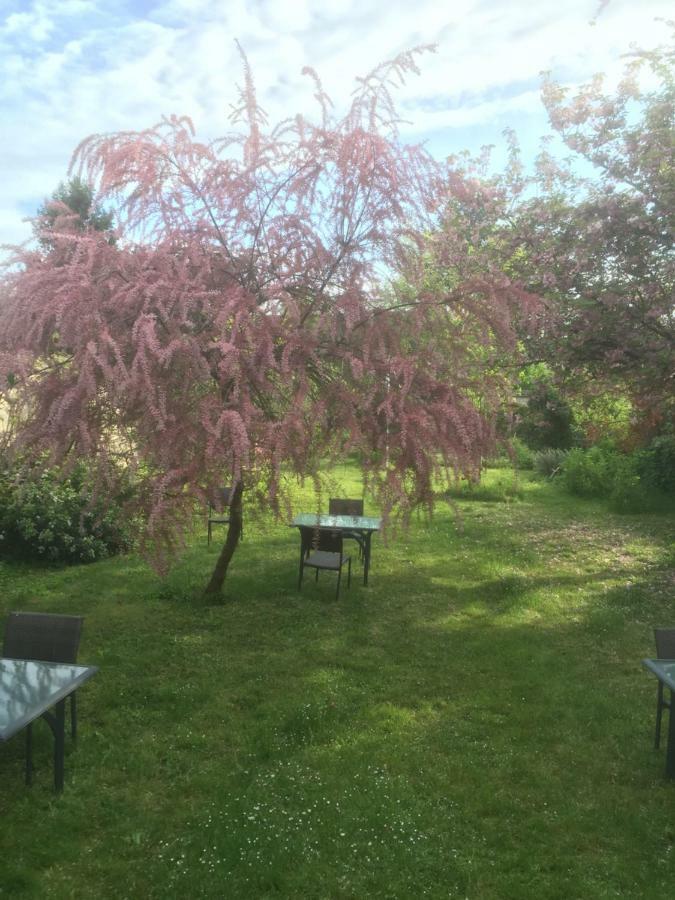 Le Clos Tilia Bed & Breakfast Clery-Saint-Andre Luaran gambar
