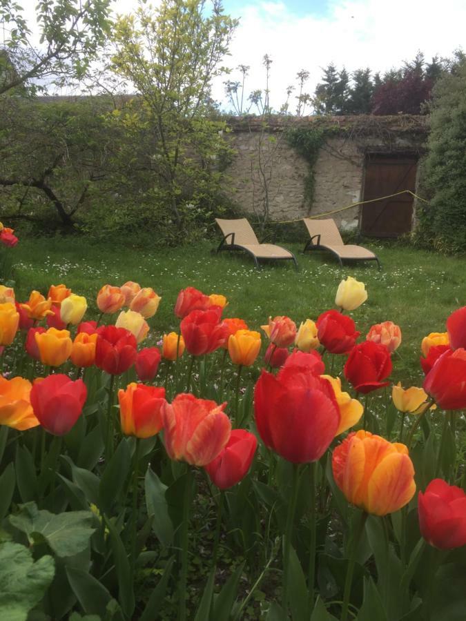 Le Clos Tilia Bed & Breakfast Clery-Saint-Andre Luaran gambar