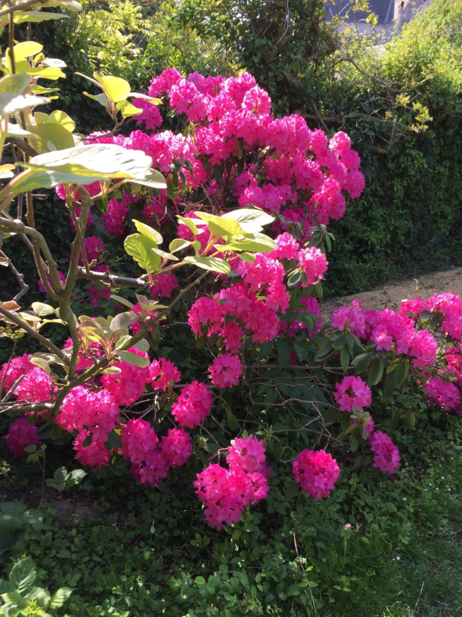 Le Clos Tilia Bed & Breakfast Clery-Saint-Andre Luaran gambar